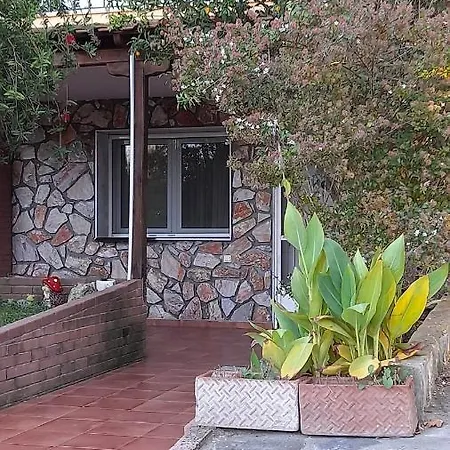 Tatil Evi Dimitrios Vourvourou